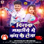 Dilwa Gamachhiye Me Bandh Ke Leja (Dhananjay Dhadkan)