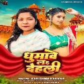 Cycle Se Ghumwas Delhi