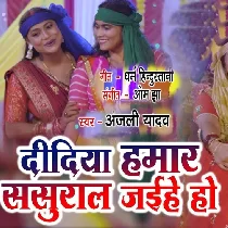 Didiya Hamar Sasurar Jaihen