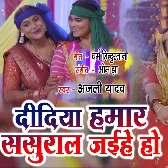 Didiya Hamar Sasurar Jaihen