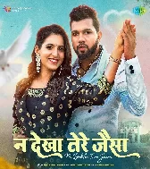 Na Dekha Tere Jaisa