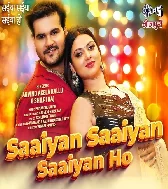 Saiyan Ho Nanado Ke Bhaiya Ho