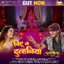 Tu Hau Chintu Ke Dulhaniya