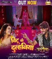 Tu Hau Chintu Ke Dulhaniya