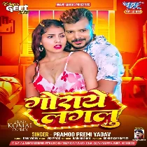 Garami Ae Gori Goraye Lagalu (Hit Matter)