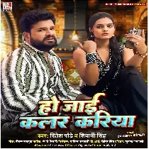 Ho Jaai Color Kariya Saiya Kitchan Me Screen Ke