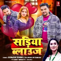 Kariya Blouse Lele Aiha Sariya Lalke Lalke