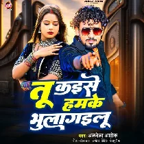 Tu Kaise Hamke Bhulagailu